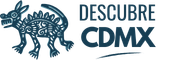 Descubre CDMX