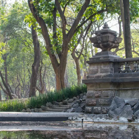 Recorrido Bosque Chapultepec