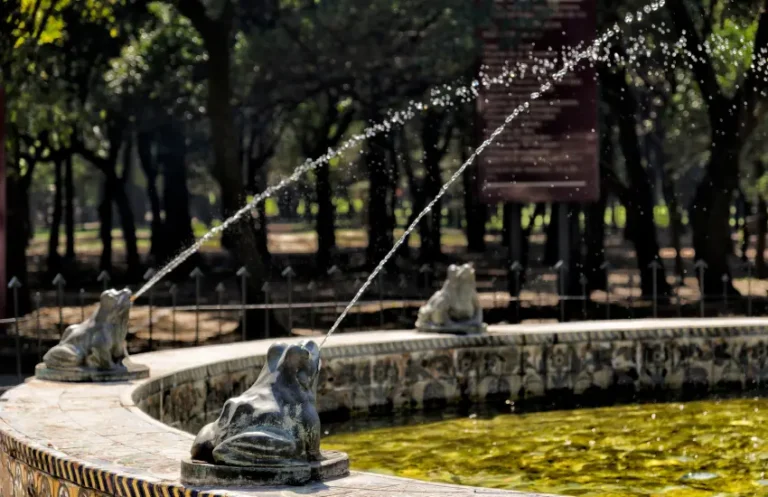 Fuente de las ranas