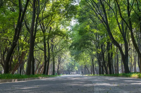 Tour Bosque de chapultepec